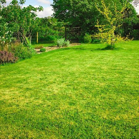 The Well Meadow B&B Nenagh Exteriör bild