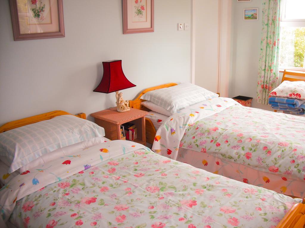 The Well Meadow B&B Nenagh Rum bild
