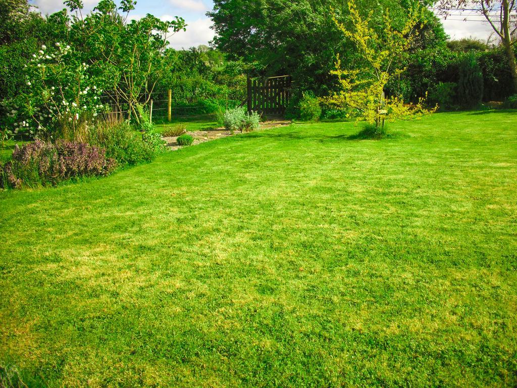 The Well Meadow B&B Nenagh Exteriör bild