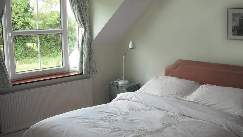 The Well Meadow B&B Nenagh Rum bild