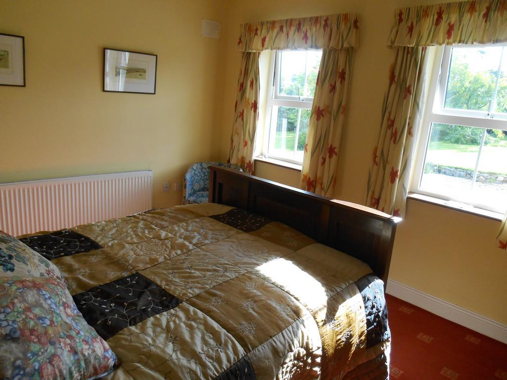 The Well Meadow B&B Nenagh Rum bild