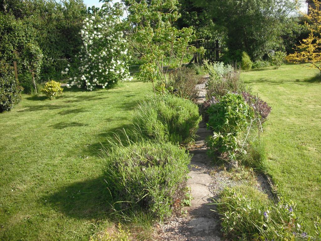 The Well Meadow B&B Nenagh Rum bild