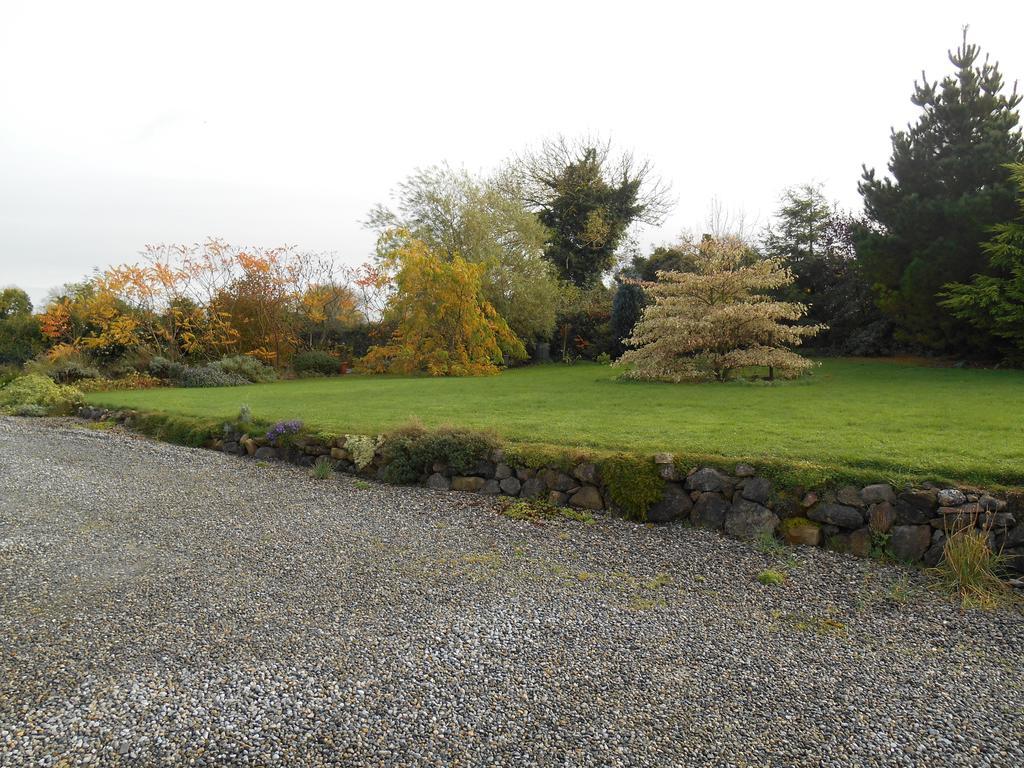 The Well Meadow B&B Nenagh Exteriör bild