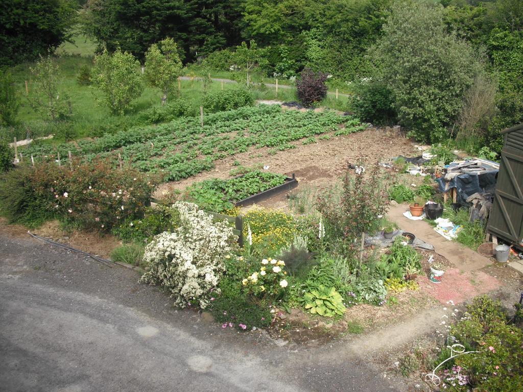 The Well Meadow B&B Nenagh Rum bild
